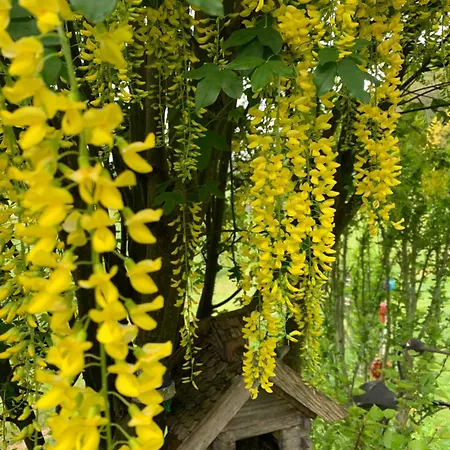 Plattenhof